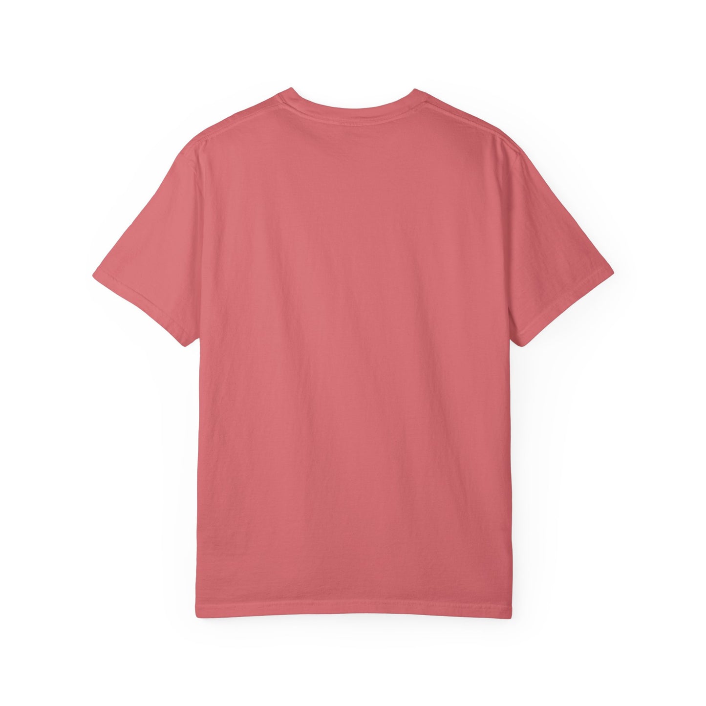 Texas Lutheran University Seal T-Shirt — Vintage Campus Tee