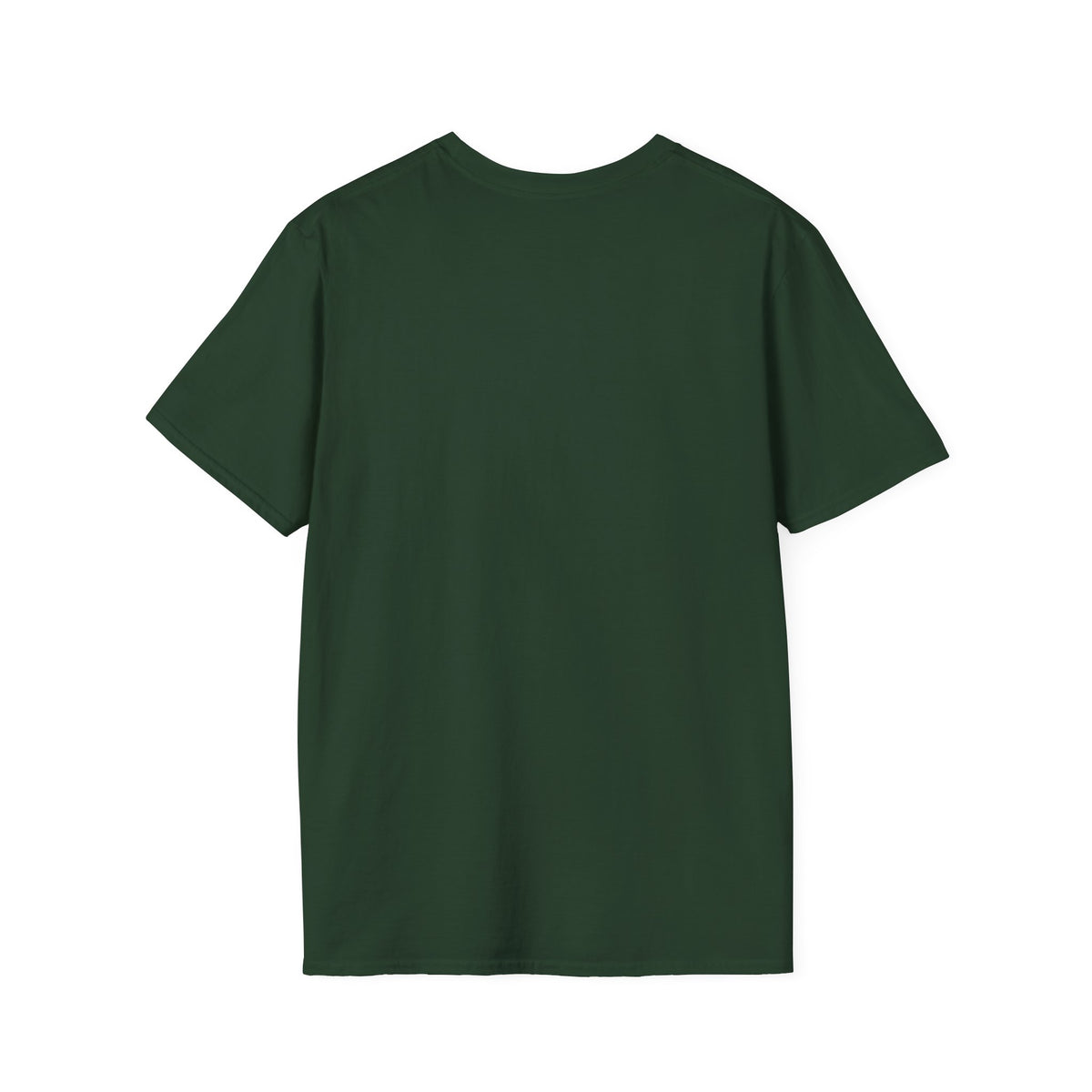 Long Creek Dragons T-Shirt — Vintage Green Dragon School Spirit Tee